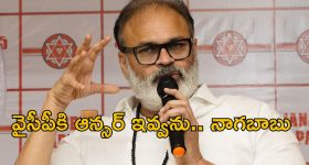 Cows are Rajya Mata: ఎన్నికల వేళ షిండే సర్కార్ సంచలన నిర్ణయం.. మహారాష్ట్ర "రాజ్యమాతగా" ఆవు