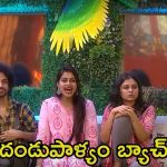 Bigg Boss 8 Telugu: నీఛమైన మాటలు, చిన్నపిల్లల చేష్టలు.. ఇదెక్కడి ‘దండుపాళ్యం’ బ్యాచ్‌రా బాబు!