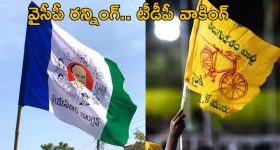 AP Elections: ఏపీలో ఎన్నికలు.. అప్పుడే అభ్యర్థిని ప్రకటించిన వైసీపీ..