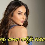 Rakul Preet Singh: సౌత్‌లో ఇంకా అదే పాత పద్ధతి, అలా చేయడం వెర్రితనం.. యంగ్ యాక్టర్లకు రకుల్ సలహా