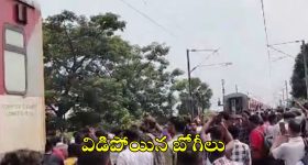 Hair Growth Oils: పొడవాటి కురుల కోసం ఈ ఆయిల్స్ వాడాల్సిందే !