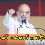 Amit Shah: మీకు ఆ దమ్ముందా? : అమిత్ షా