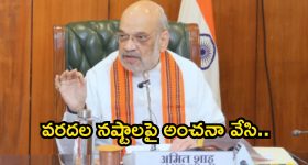 Amit shah: ఎట్టకేలకు స్పందించిన కేంద్రం.. ఏపీకి త్వరలోనే..