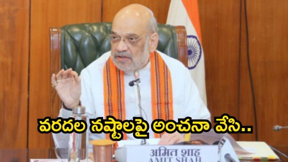 Amit shah: ఎట్టకేలకు స్పందించిన కేంద్రం.. ఏపీకి త్వరలోనే..
