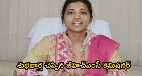 Amrapali: తీపి కబురు చెప్పిన ఆమ్రపాలి..
