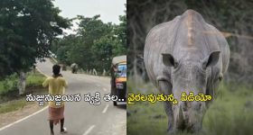 Keerthy Suresh: మహానటి ఏంటిది? ఐఫా వేడుకల్లో కీర్తి సురేశ్ డ్రెస్‌పై ట్రోల్స్