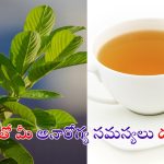 Guava Leaf Tea: ఈ టీతో మీ అనారోగ్య సమస్యలన్నీ పరార్ !