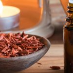 Sandal Wood: గంధంతో అద్భుతమైన ముఖ సౌందర్యం.. ఈ సమస్యలు కూడా పరార్..