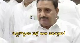Home Remedies For Tan: వీటితో ఫేస్‌పై ఉన్న జిడ్డు మాయం