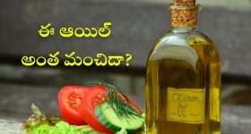 Olive Oil: ఆలివ్ ఆయిల్ అంత ఖరీదు ఎందుకు? ఆరోగ్యానికి అంత మంచిదా?