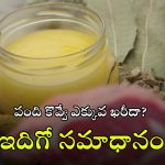 Animal Oil Making: జంతుల కొవ్వుతో నూనె ఎలా తయారు చేస్తారు? కల్తీని ఎలా గుర్తించాలి? ఒళ్లు గగుర్పొడిచే వాస్తవాలు!