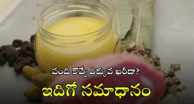 Animal Oil Making: జంతుల కొవ్వుతో నూనె ఎలా తయారు చేస్తారు? కల్తీని ఎలా గుర్తించాలి? ఒళ్లు గగుర్పొడిచే వాస్తవాలు!