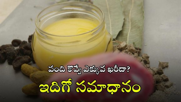Animal Oil Making: జంతుల కొవ్వుతో నూనె ఎలా తయారు చేస్తారు? కల్తీని ఎలా గుర్తించాలి? ఒళ్లు గగుర్పొడిచే వాస్తవాలు!