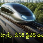 Pod Taxi Service: భలే, ఇండియాలో పాడ్ ట్యాక్సీ పరుగులు.. ముందు ఆ నగరాల్లోనే, దీని ప్రత్యేకతలు ఇవే!