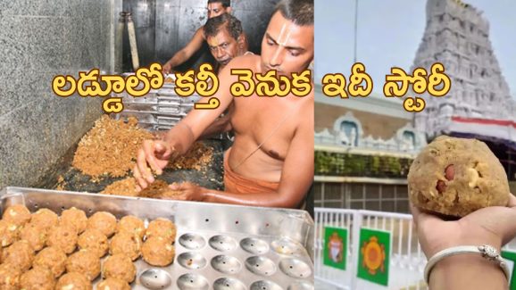 Tirupati Laddu: తిరుమలలో నిత్యం 3 లక్షల లడ్డూలు విక్రయం.. 500 కోట్లు వార్షిక ఆదాయం.. కల్తీ నెయ్యి వివాదం తరువాత..