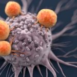 New Cancer Drug: చౌకైన ఔషధంతో బ్రెయిన్ ట్యూమర్ మాయం, ప్రాణాంతక క్యాన్సర్ కు సరికొత్త డ్రగ్ కనుగొన్న పరిశోధకులు