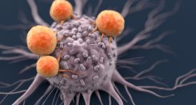 New Cancer Drug: చౌకైన ఔషధంతో బ్రెయిన్ ట్యూమర్ మాయం, ప్రాణాంతక క్యాన్సర్ కు సరికొత్త డ్రగ్ కనుగొన్న పరిశోధకులు