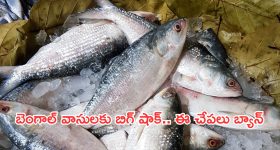 GST Council: జీఎస్టీ..  లైఫ్, ఆరోగ్యానికి సాయం చేసేనా?