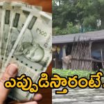Financial Assistance: బ్రేకింగ్ న్యూస్.. ప్రతి ఇంటికీ రూ. 25 వేల ఆర్థికసాయం ప్రకటించిన ప్రభుత్వం