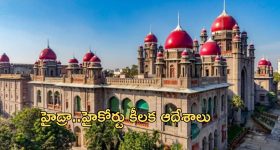 Hydra: హైడ్రా రద్దు చేయాలని పిటిషన్.. ప్రభుత్వానికి హైకోర్టు కీలక ఆదేశాలు