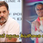 Harish Rao Letter: రాహుల్ గాంధీకి లేఖ రాసిన హరీశ్‌రావు.. పార్టీ మారుతున్నారా..?