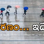 Holiday: బ్రేకింగ్ న్యూస్..  రేపు ఏపీలో విద్యాసంస్థలకు సెలవు!