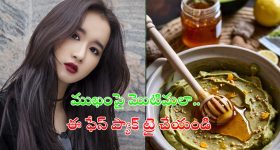 Mallu Bhatti Vikramarka: రాష్ట్ర సర్కార్ కీలక నిర్ణయం.. ఇక వాటికి ఉచిత విద్యుత్
