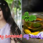 Hair Growth Oils: పొడవాటి కురుల కోసం ఈ ఆయిల్స్ వాడాల్సిందే !