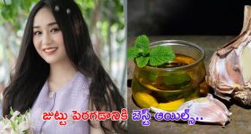 Hair Growth Oils: పొడవాటి కురుల కోసం ఈ ఆయిల్స్ వాడాల్సిందే !