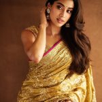 Janhvi Kapoor: వాహ్.. దగదగా మెరిసిపోతున్న ధడక్ హీరోయిన్