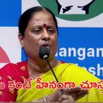 Konda Surekha: అన్నా, చెల్లిపై అలాంటి పోస్టులా? కంటతడి పెట్టిన మంత్రి కొండా సురేఖ