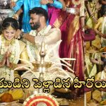 Megha Akash: ప్రియుడితో ఏడడుగులు వేసిన నితిన్ హీరోయిన్.. ఫొటోలు వైరల్
