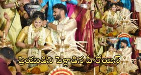 Megha Akash: ప్రియుడితో ఏడడుగులు వేసిన నితిన్ హీరోయిన్.. ఫొటోలు వైరల్
