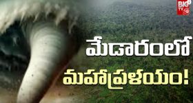 Medaram Forest: మేడారం అడవుల్లో ఏం జరిగింది ? విధ్వంసానికి కారణమేంటి ?