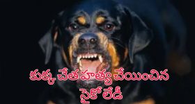 Tonique liquor mart: హైదరాబాద్.. టానిక్ లిక్కర్ మార్ట్‌కు షాక్.. కాకపోతే..