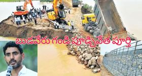 Telangana IPS Transfers: తెలంగాణలో ఐదుగురు ఐపీఎస్​ల బదిలీ.. హైదరాబాద్ సీపీగా సీవీ ఆనంద్