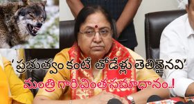 Uttar Pradesh Wolf Attacks: యూపీలో తోడేళ్ల విధ్వంసం.. 8 మంది మృతి.. మంత్రి వింత వాదన!