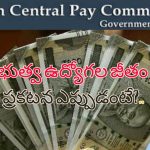 7th Pay Commission DA Hike: కేంద్ర ప్రభుత్వ ఉద్యోగులకు త్వరలోనే జీతం పెంపు.. హర్యాణా ఎన్నికల ముందు బిజేపీ మాస్టర్ ప్లాన్!