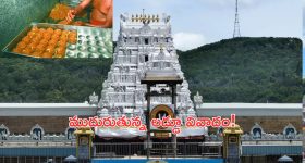Tirumala Laddu: తిరుమల లడ్డూపై వివాదం.. వేంకటేశ్వరుడికి మచ్చతెచ్చేలా మాజీ సీఎం చేశారా?