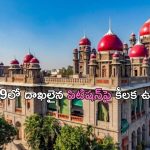 BC Caste Census: బీసీ కుల గణనపై హైకోర్టు కీలక వ్యాఖ్యలు… 3 నెలల్లోపు..
