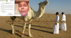 Andhra Woman In Kuwait Torture: ఆంధ్రా యువతిపై కువైట్ లో లైంగిక వేధింపులు.. సెల్ఫీ వీడియో ద్వారా బాధితురాలి ఫిర్యాదు..