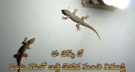 Fenugreek Water Benefits: షుగర్ వ్యాధిగ్రస్తులు తప్పకుండా తాగాల్సిన డ్రింక్ ఏంటో తెలుసా ?