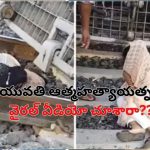 Suicide Fail On Railway Track: రైల్వే ట్రాక్ పై ఆత్మహత్య చేసుకునేందుకు వెళ్లిన యువతి.. ట్రైన్ కోసం ఎదురుచూస్తూ..