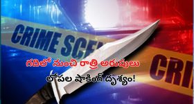 Teen Kills Owner: ఓనర్ ని హత్య చేసిన టీనేజర్.. తల్లి చావుకి పగ తీర్చుకోవడానికే..