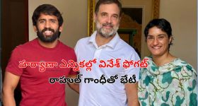 Vinesh Phogat In Haryana Polls: హర్యాణా ఎన్నికల బరిలో వినేశ్ ఫోగట్, బజరంగ్ పునియా.. రాహుల్ గాంధీతో మీటింగ్!