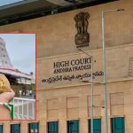 YSRCP Petition: తిరుమల లడ్డూ వివాదం.. హైకోర్టులో వైసీపీ పిటిషన్, న్యాయస్థానం కీలక వ్యాఖ్యలు