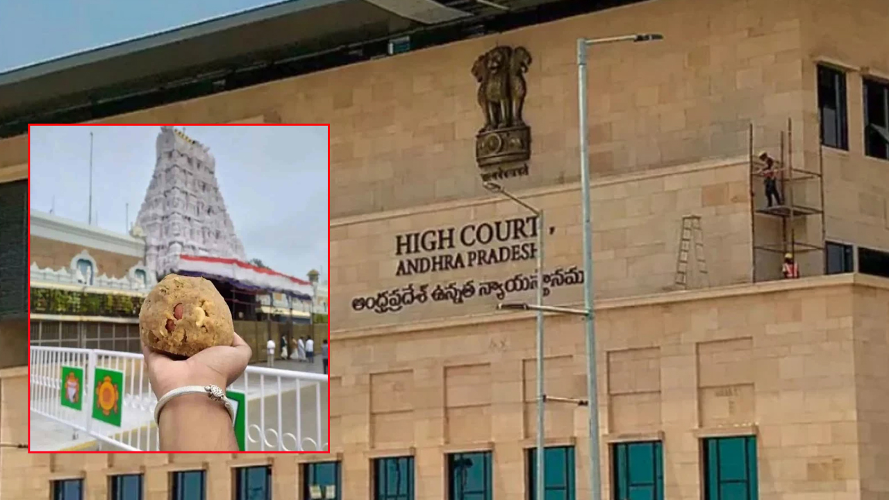 YSRCP Petition: తిరుమల లడ్డూ వివాదం.. హైకోర్టులో వైసీపీ పిటిషన్, న్యాయస్థానం కీలక వ్యాఖ్యలు
