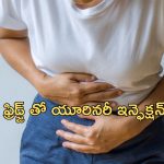 UTI and Fridge: మహిళలు యూరినరీ ట్రాక్ ఇన్ఫెక్షన్ బారిన పడటానికి ఇంట్లో ఉండే ఫ్రిజ్ కూడా కారణమే, అదెలాగంటే..