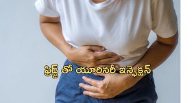 UTI and Fridge: మహిళలు యూరినరీ ట్రాక్ ఇన్ఫెక్షన్ బారిన పడటానికి ఇంట్లో ఉండే ఫ్రిజ్ కూడా కారణమే, అదెలాగంటే..