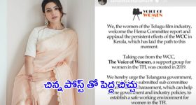 Actress Samantha Post: తెలంగాణ ప్రభుత్వానికి సమంత రిక్వెస్ట్ .. అలా చేయాలంటూ సలహా..